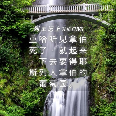 Picture 04 - 列 王 记 上 21:16 CUVS - 亚 哈 听 见 拿 伯 死 了 ， 就 起 来 - Bible Verse Picture