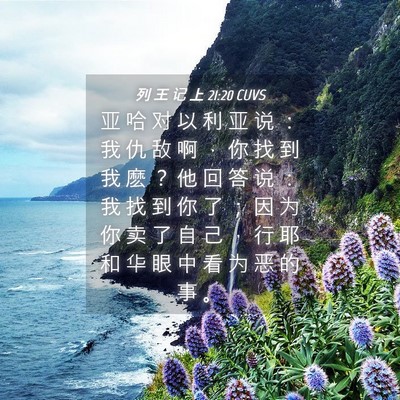 Picture 04 - 列 王 记 上 21:20 CUVS - 亚 哈 对 以 利 亚 说 ： 我 仇 敌 啊 - Bible Verse Picture