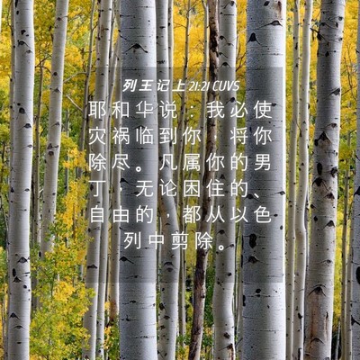 Picture 04 - 列 王 记 上 21:21 CUVS - 耶 和 华 说 ： 我 必 使 灾 祸 临 到 - Bible Verse Picture