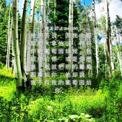 Picture 04 - 列 王 记 上 21:6 CUVS - 他 回 答 说 ： 因 我 向 耶 斯 列 人 - Bible Verse Picture