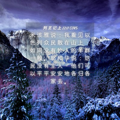Picture 04 - 列 王 记 上 22:17 CUVS - 米 该 雅 说 ： 我 看 见 以 色 列 众 - Bible Verse Picture
