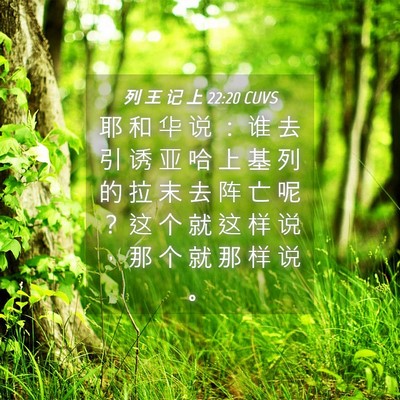 Picture 04 - 列 王 记 上 22:20 CUVS - 耶 和 华 说 ： 谁 去 引 诱 亚 哈 上 - Bible Verse Picture