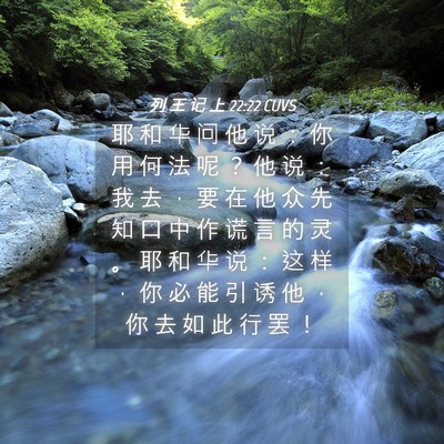 Picture 04 - 列 王 记 上 22:22 CUVS - 耶 和 华 问 他 说 ： 你 用 何 法 呢 - Bible Verse Picture