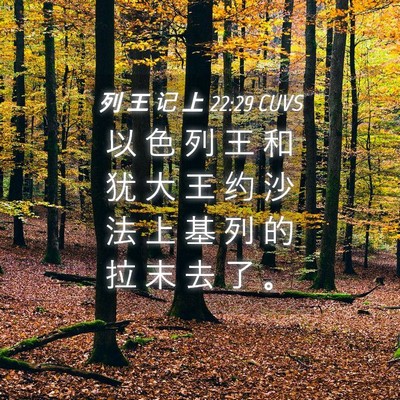 Picture 04 - 列 王 记 上 22:29 CUVS - 以 色 列 王 和 犹 大 王 约 沙 法 上 - Bible Verse Picture