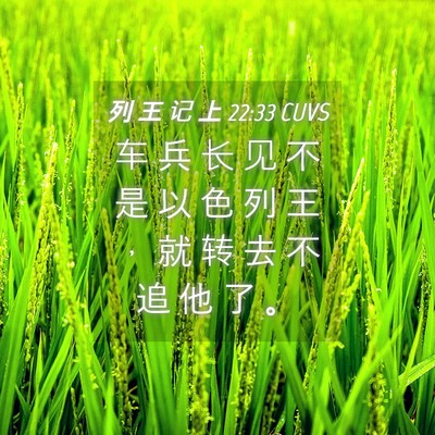 Picture 04 - 列 王 记 上 22:33 CUVS - 车 兵 长 见 不 是 以 色 列 王 ， 就 - Bible Verse Picture