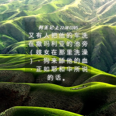 Picture 04 - 列 王 记 上 22:38 CUVS - 又 有 人 把 他 的 车 洗 在 撒 玛 利 - Bible Verse Picture