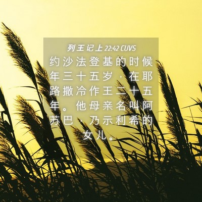Picture 04 - 列 王 记 上 22:42 CUVS - 约 沙 法 登 基 的 时 候 年 三 十 五 - Bible Verse Picture