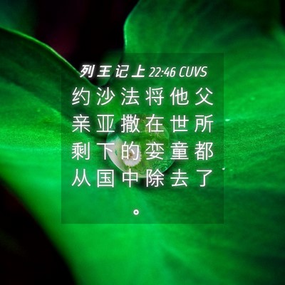 Picture 04 - 列 王 记 上 22:46 CUVS - 约 沙 法 将 他 父 亲 亚 撒 在 世 所 - Bible Verse Picture