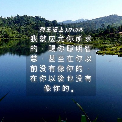 Picture 04 - 列 王 记 上 3:12 CUVS - 我 就 应 允 你 所 求 的 ， 赐 你 聪 - Bible Verse Picture