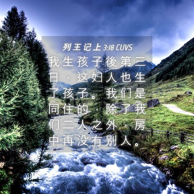 Picture 04 - 列 王 记 上 3:18 CUVS - 我 生 孩 子 後 第 三 日 ， 这 妇 人 - Bible Verse Picture