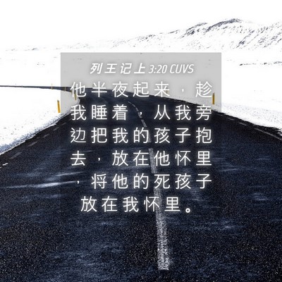 Picture 04 - 列 王 记 上 3:20 CUVS - 他 半 夜 起 来 ， 趁 我 睡 着 ， 从 - Bible Verse Picture