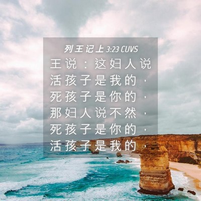 Picture 04 - 列 王 记 上 3:23 CUVS - 王 说 ： 这 妇 人 说 活 孩 子 是 我 - Bible Verse Picture
