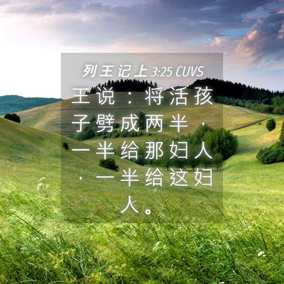 Picture 04 - 列 王 记 上 3:25 CUVS - 王 说 ： 将 活 孩 子 劈 成 两 半 ， - Bible Verse Picture