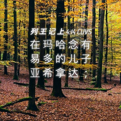 Picture 04 - 列 王 记 上 4:14 CUVS - 在 玛 哈 念 有 易 多 的 儿 子 亚 希 - Bible Verse Picture