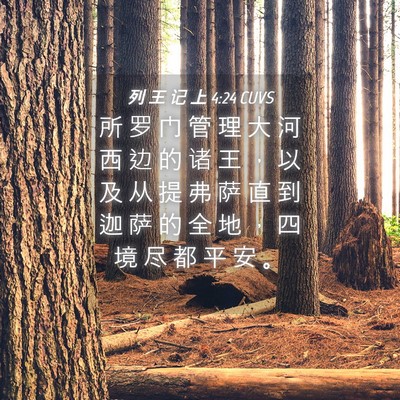 Picture 04 - 列 王 记 上 4:24 CUVS - 所 罗 门 管 理 大 河 西 边 的 诸 王 - Bible Verse Picture