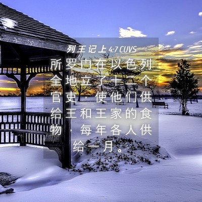 Picture 04 - 列 王 记 上 4:7 CUVS - 所 罗 门 在 以 色 列 全 地 立 了 十 - Bible Verse Picture
