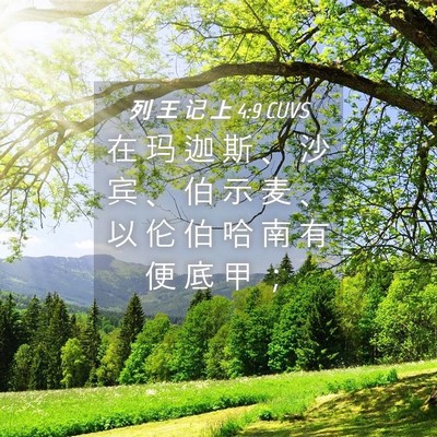 Picture 04 - 列 王 记 上 4:9 CUVS - 在 玛 迦 斯 、 沙 宾 、 伯 示 麦 、 - Bible Verse Picture