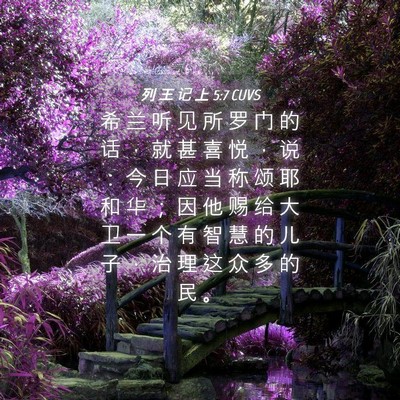Picture 04 - 列 王 记 上 5:7 CUVS - 希 兰 听 见 所 罗 门 的 话 ， 就 甚 - Bible Verse Picture