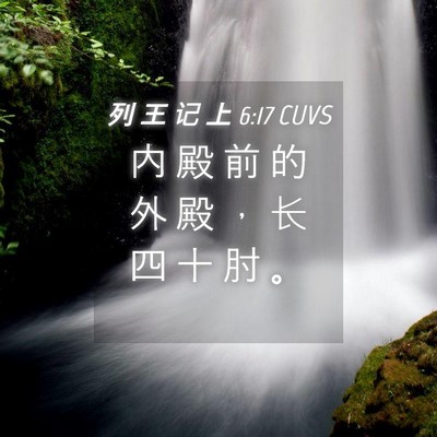 Picture 04 - 列 王 记 上 6:17 CUVS - 内 殿 前 的 外 殿 ， 长 四 十 肘 - Bible Verse Picture