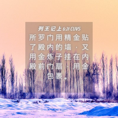 Picture 04 - 列 王 记 上 6:21 CUVS - 所 罗 门 用 精 金 贴 了 殿 内 的 墙 - Bible Verse Picture