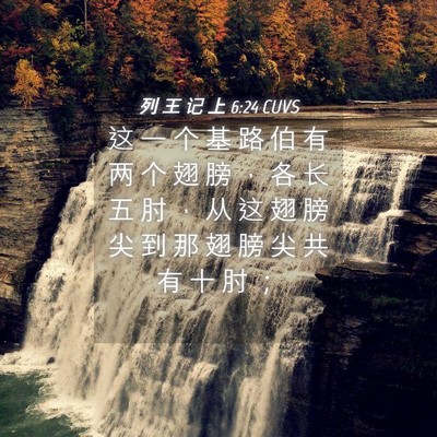 Picture 04 - 列 王 记 上 6:24 CUVS - 这 一 个 基 路 伯 有 两 个 翅 膀 ， - Bible Verse Picture