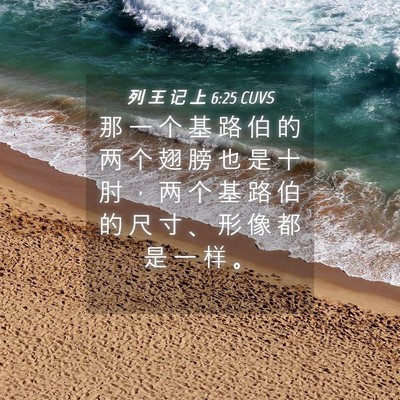 Picture 04 - 列 王 记 上 6:25 CUVS - 那 一 个 基 路 伯 的 两 个 翅 膀 也 - Bible Verse Picture