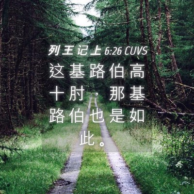 Picture 04 - 列 王 记 上 6:26 CUVS - 这 基 路 伯 高 十 肘 ， 那 基 路 伯 - Bible Verse Picture