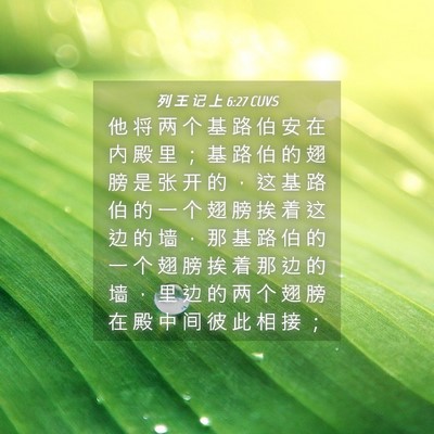 Picture 04 - 列 王 记 上 6:27 CUVS - 他 将 两 个 基 路 伯 安 在 内 殿 里 - Bible Verse Picture