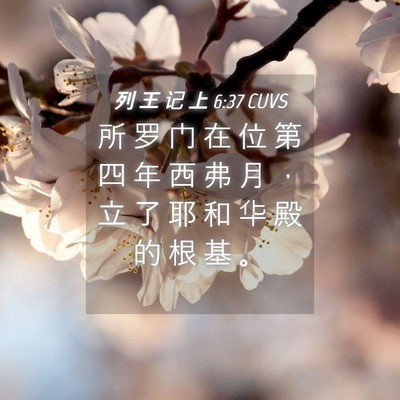 Picture 04 - 列 王 记 上 6:37 CUVS - 所 罗 门 在 位 第 四 年 西 弗 月 ， - Bible Verse Picture
