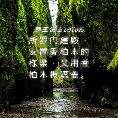 Picture 04 - 列 王 记 上 6:9 CUVS - 所 罗 门 建 殿 ， 安 置 香 柏 木 的 - Bible Verse Picture