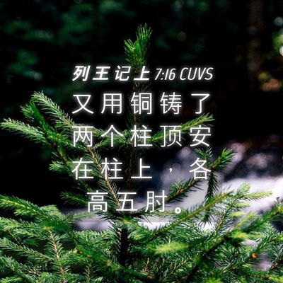 Picture 04 - 列 王 记 上 7:16 CUVS - 又 用 铜 铸 了 两 个 柱 顶 安 在 柱 - Bible Verse Picture