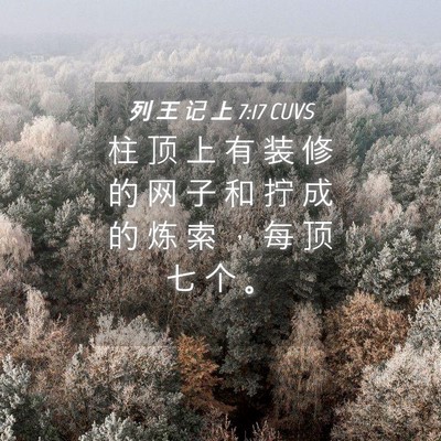 Picture 04 - 列 王 记 上 7:17 CUVS - 柱 顶 上 有 装 修 的 网 子 和 拧 成 - Bible Verse Picture