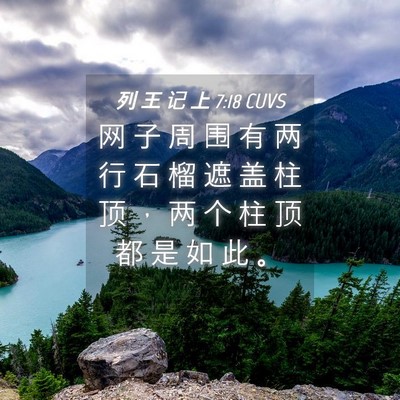 Picture 04 - 列 王 记 上 7:18 CUVS - 网 子 周 围 有 两 行 石 榴 遮 盖 柱 - Bible Verse Picture