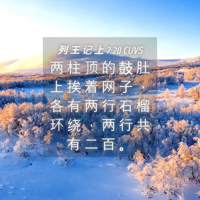 Picture 04 - 列 王 记 上 7:20 CUVS - 两 柱 顶 的 鼓 肚 上 挨 着 网 子 ， - Bible Verse Picture