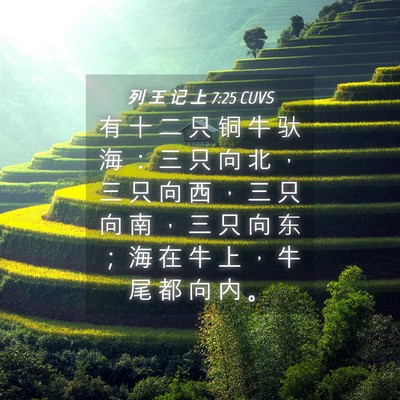 Picture 04 - 列 王 记 上 7:25 CUVS - 有 十 二 只 铜 牛 驮 海 ： 三 只 向 - Bible Verse Picture