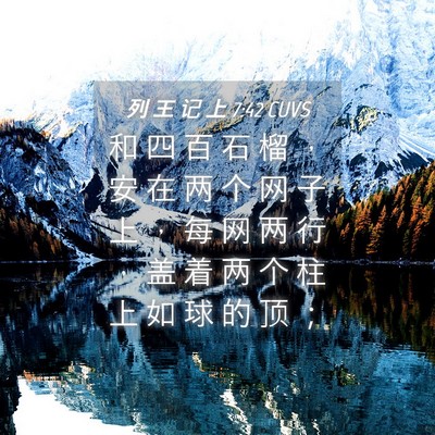 Picture 04 - 列 王 记 上 7:42 CUVS - 和 四 百 石 榴 ， 安 在 两 个 网 子 - Bible Verse Picture