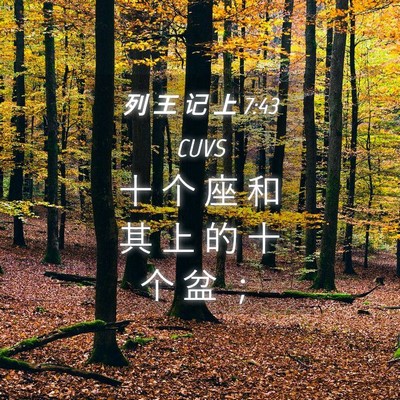 Picture 04 - 列 王 记 上 7:43 CUVS - 十 个 座 和 其 上 的 十 个 盆 - Bible Verse Picture