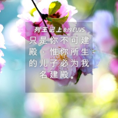 Picture 04 - 列 王 记 上 8:19 CUVS - 只 是 你 不 可 建 殿 ， 惟 你 所 生 - Bible Verse Picture