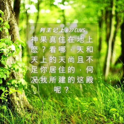 Picture 04 - 列 王 记 上 8:27 CUVS - 神 果 真 住 在 地 上 麽 ？ 看 哪 ， - Bible Verse Picture