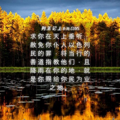 Picture 04 - 列 王 记 上 8:36 CUVS - 求 你 在 天 上 垂 听 ， 赦 免 你 仆 - Bible Verse Picture