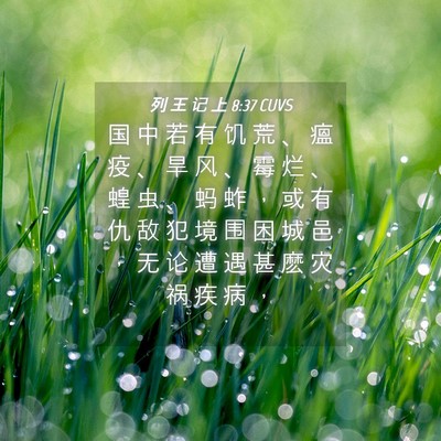 Picture 04 - 列 王 记 上 8:37 CUVS - 国 中 若 有 饥 荒 、 瘟 疫 、 旱 风 - Bible Verse Picture