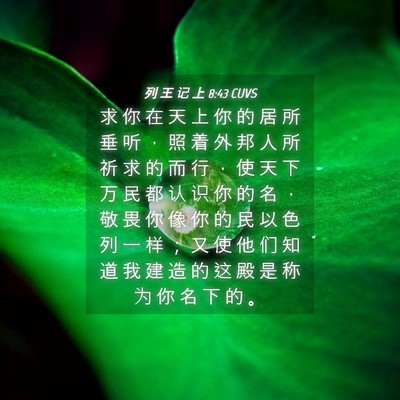 Picture 04 - 列 王 记 上 8:43 CUVS - 求 你 在 天 上 你 的 居 所 垂 听 ， - Bible Verse Picture