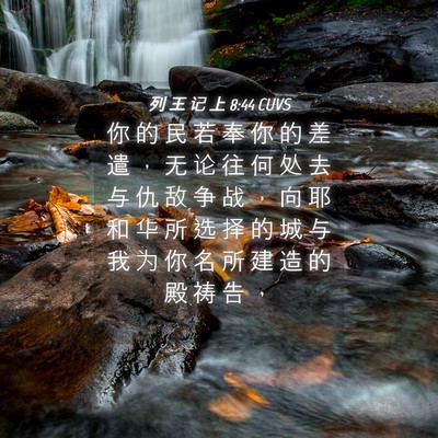 Picture 04 - 列 王 记 上 8:44 CUVS - 你 的 民 若 奉 你 的 差 遣 ， 无 论 - Bible Verse Picture