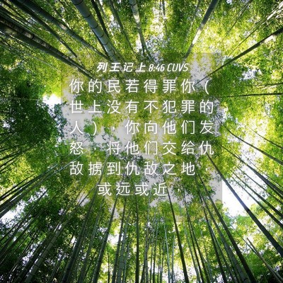 Picture 04 - 列 王 记 上 8:46 CUVS - 你 的 民 若 得 罪 你 （ 世 上 没 有 - Bible Verse Picture