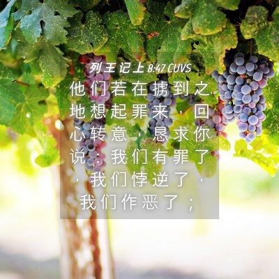 Picture 04 - 列 王 记 上 8:47 CUVS - 他 们 若 在 掳 到 之 地 想 起 罪 来 - Bible Verse Picture