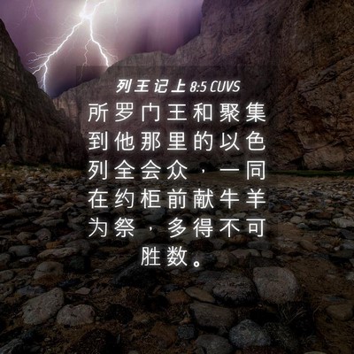Picture 04 - 列 王 记 上 8:5 CUVS - 所 罗 门 王 和 聚 集 到 他 那 里 的 - Bible Verse Picture