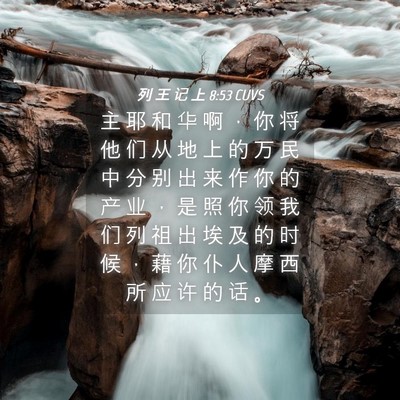 Picture 04 - 列 王 记 上 8:53 CUVS - 主 耶 和 华 啊 ， 你 将 他 们 从 地 - Bible Verse Picture