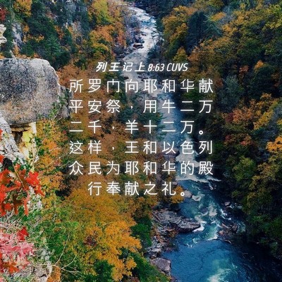 Picture 04 - 列 王 记 上 8:63 CUVS - 所 罗 门 向 耶 和 华 献 平 安 祭 ， - Bible Verse Picture