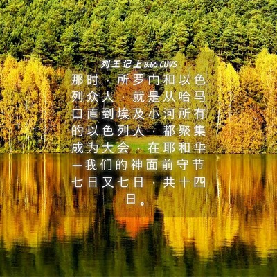 Picture 04 - 列 王 记 上 8:65 CUVS - 那 时 ， 所 罗 门 和 以 色 列 众 人 - Bible Verse Picture