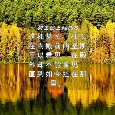 Picture 04 - 列 王 记 上 8:8 CUVS - 这 杠 甚 长 ， 杠 头 在 内 殿 前 的 - Bible Verse Picture